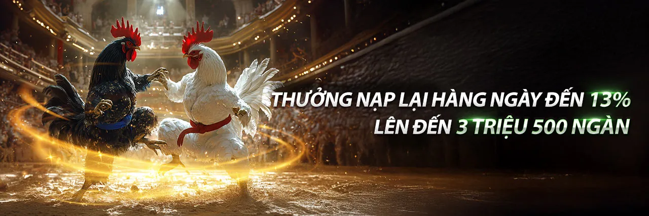 Đá Gà Trực Tuyến 77ball Chính Thức